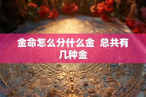 金命怎么分什么金  总共有几种金