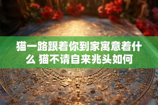 猫一路跟着你到家寓意着什么 猫不请自来兆头如何 猫一路跟着你到家寓意着什么 猫不请自来兆头如何