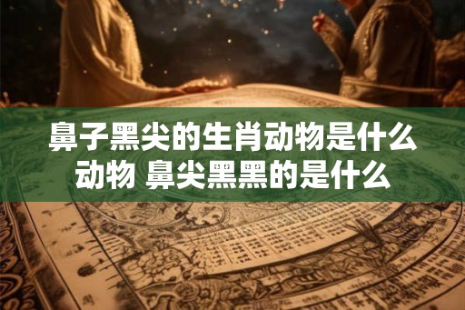 鼻子黑尖的生肖动物是什么动物 鼻尖黑黑的是什么