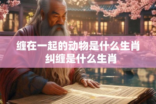 缠在一起的动物是什么生肖  纠缠是什么生肖
