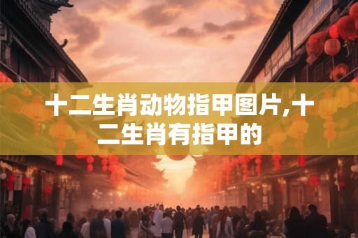 十二生肖动物指甲图片,十二生肖有指甲的 十二生肖动物指甲图片,十二生肖有指甲的