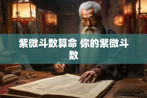 紫微斗数算命 你的紫微斗数