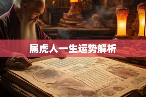 属虎人一生运势解析