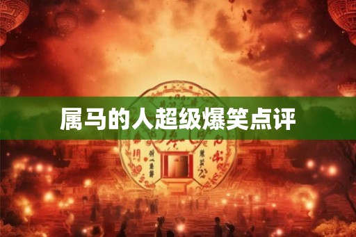 属马的人超级爆笑点评