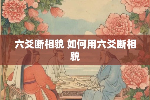 六爻断相貌 如何用六爻断相貌