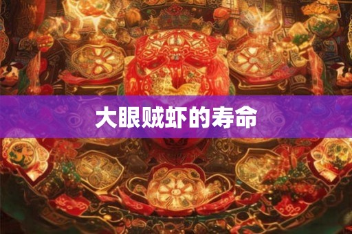 大眼贼虾的寿命