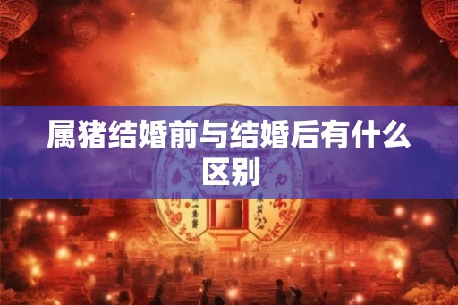 属猪结婚前与结婚后有什么区别