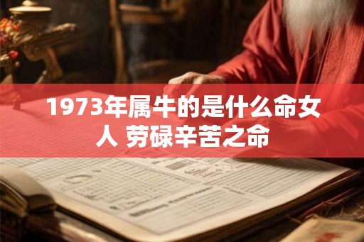 1973年属牛的是什么命女人 劳碌辛苦之命