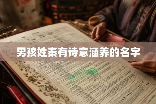 男孩姓秦有诗意涵养的名字