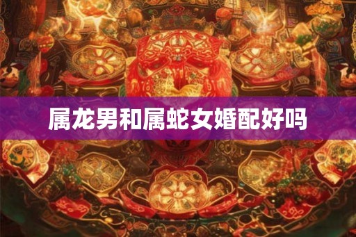 属龙男和属蛇女婚配好吗