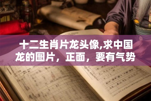 十二生肖片龙头像,求中国龙的图片，正面，要有气势。