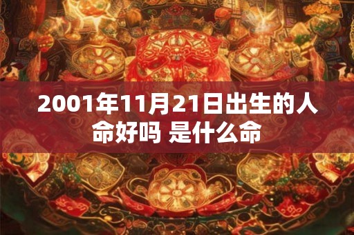 2001年11月21日出生的人命好吗 是什么命