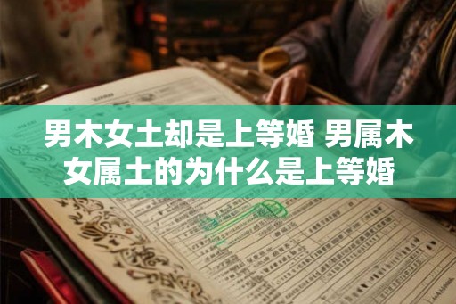男木女土却是上等婚 男属木女属土的为什么是上等婚 男木女土却是上等婚 男属木女属土的为什么是上等婚