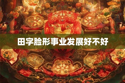 田字脸形事业发展好不好