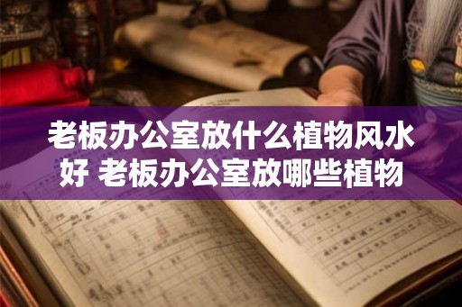 老板办公室放什么植物风水好 老板办公室放哪些植物风水好 老板办公室放什么植物风水好 老板办公室放哪些植物风水好