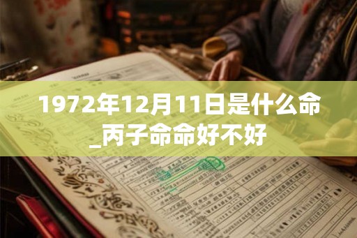 1972年12月11日是什么命_丙子命命好不好