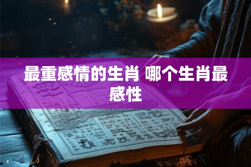 最重感情的生肖 哪个生肖最感性