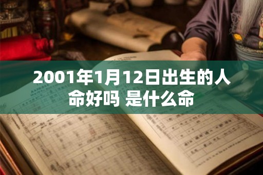 2001年1月12日出生的人命好吗 是什么命