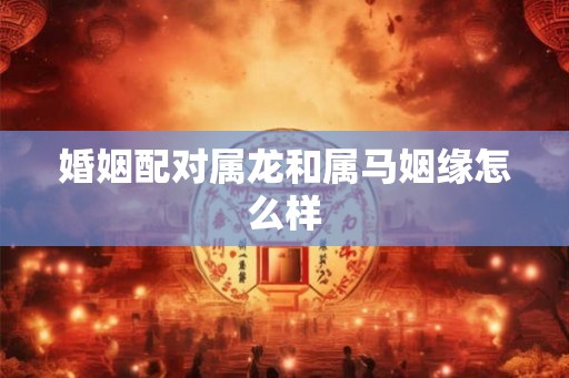 婚姻配对属龙和属马姻缘怎么样 婚姻配对属龙和属马姻缘怎么样