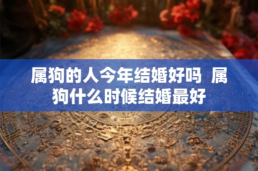 属狗的人今年结婚好吗  属狗什么时候结婚最好
