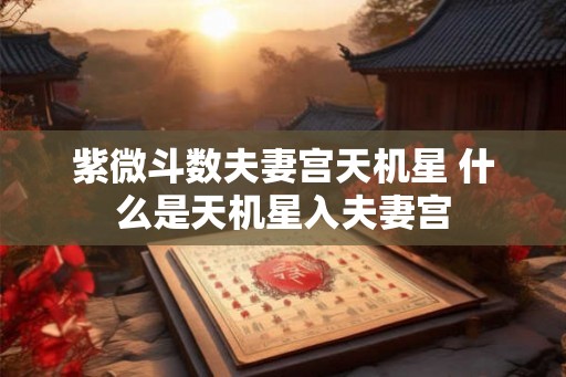 紫微斗数夫妻宫天机星 什么是天机星入夫妻宫