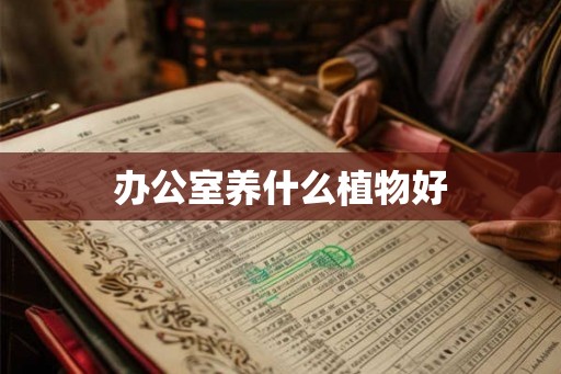 办公室养什么植物好
