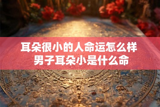 耳朵很小的人命运怎么样  男子耳朵小是什么命