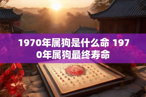 1970年属狗是什么命 1970年属狗最终寿命