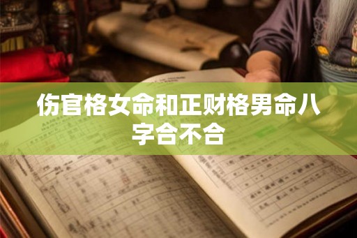 伤官格女命和正财格男命八字合不合