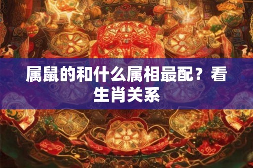 属鼠的和什么属相最配？看生肖关系