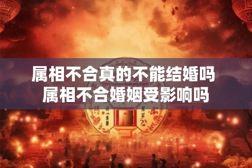 属相不合真的不能结婚吗 属相不合婚姻受影响吗