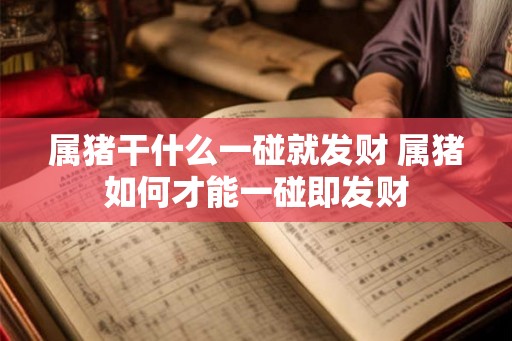 属猪干什么一碰就发财 属猪如何才能一碰即发财