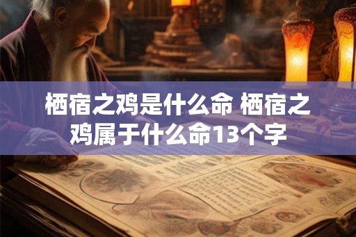 栖宿之鸡是什么命 栖宿之鸡属于什么命13个字