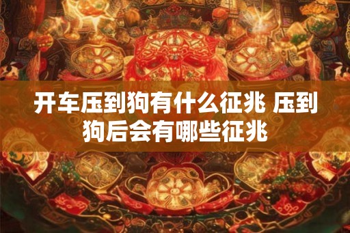 开车压到狗有什么征兆 压到狗后会有哪些征兆