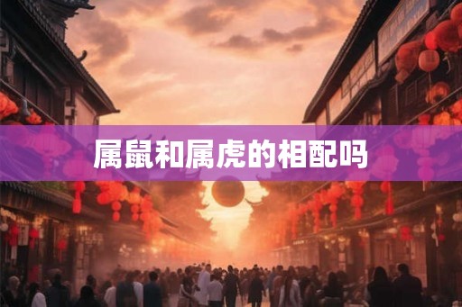属鼠和属虎的相配吗