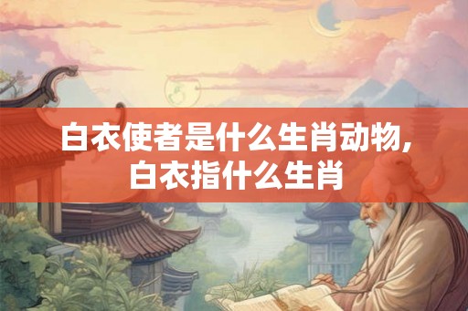 白衣使者是什么生肖动物,白衣指什么生肖