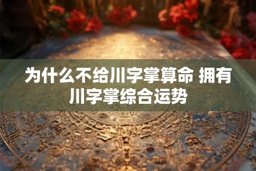 为什么不给川字掌算命 拥有川字掌综合运势