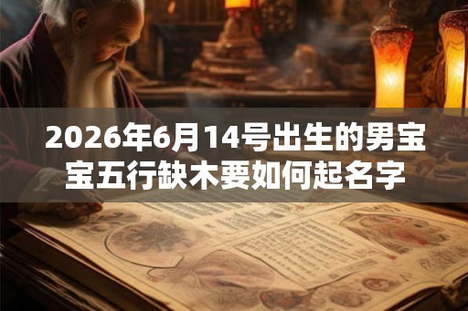 2026年6月14号出生的男宝宝五行缺木要如何起名字