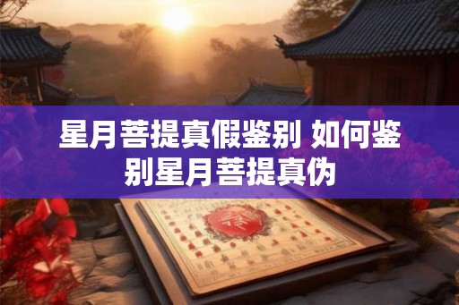 星月菩提真假鉴别 如何鉴别星月菩提真伪