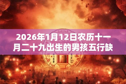 2026年1月12日农历十一月二十九出生的男孩五行缺什么