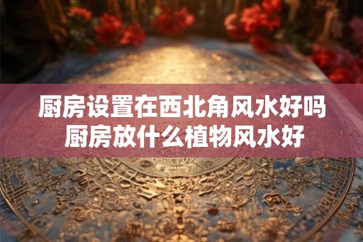 厨房设置在西北角风水好吗 厨房放什么植物风水好