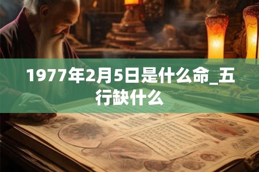 1977年2月5日是什么命_五行缺什么 1977年2月5日是什么命_五行缺什么