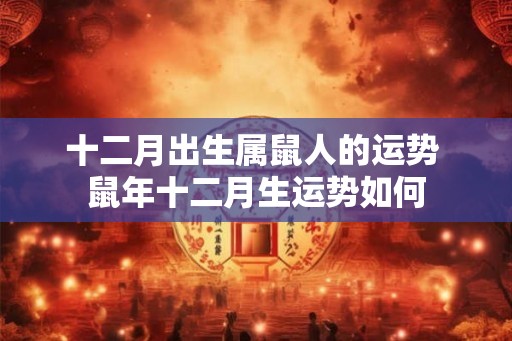十二月出生属鼠人的运势 鼠年十二月生运势如何