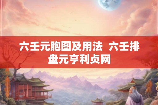 六壬元胞图及用法  六壬排盘元亨利贞网