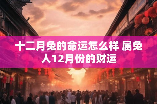 十二月兔的命运怎么样 属兔人12月份的财运