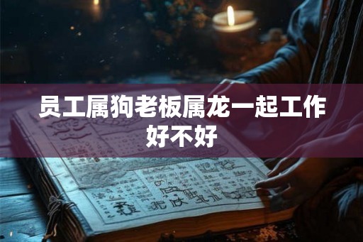 员工属狗老板属龙一起工作好不好 员工属狗老板属龙一起工作好不好