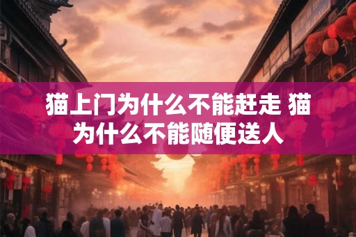 猫上门为什么不能赶走 猫为什么不能随便送人