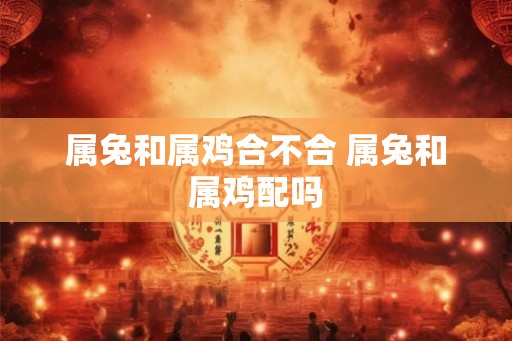 属兔和属鸡合不合 属兔和属鸡配吗