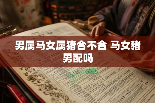 男属马女属猪合不合 马女猪男配吗 男属马女属猪合不合 马女猪男配吗