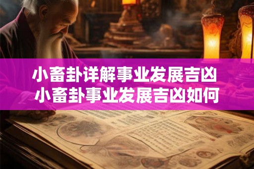 小畜卦详解事业发展吉凶 小畜卦事业发展吉凶如何